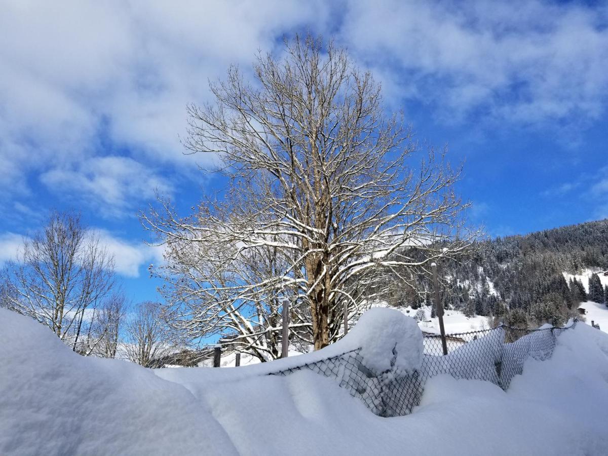 Alpenhotel Wildschoenau B&B Kültér fotó